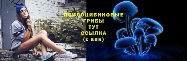 бошки Аркадак