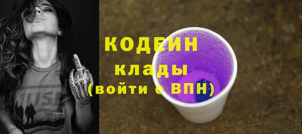 хмурый Алексин