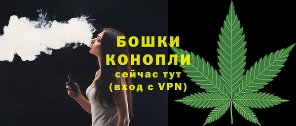 бошки Аркадак