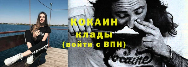 прущие грибы Балабаново