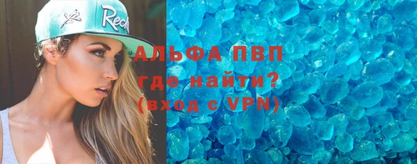 ГАЛЛЮЦИНОГЕННЫЕ ГРИБЫ Тайга
