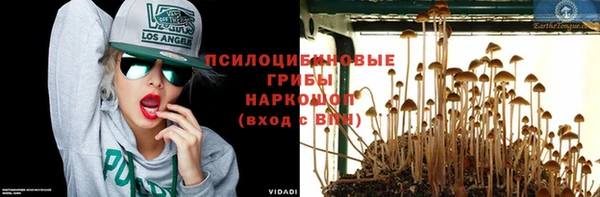прущие грибы Балабаново